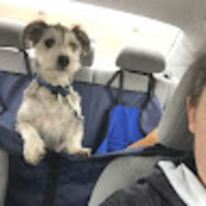 Meet your Posher, Melanie